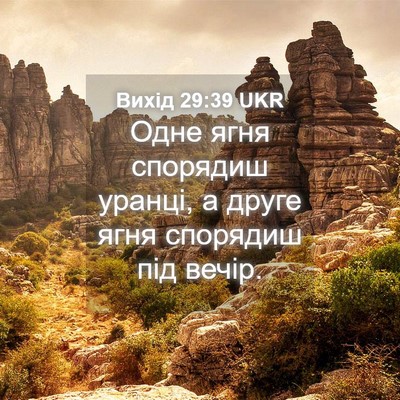 Picture 04 - Вихід 29:39 UKR - Одне ягня спорядиш уранці, - Bible Verse Picture