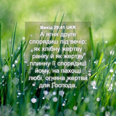Picture 04 - Вихід 29:41 UKR - А ягня друге спорядиш під - Bible Verse Picture