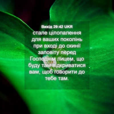 Picture 04 - Вихід 29:42 UKR - стале цілопалення для - Bible Verse Picture