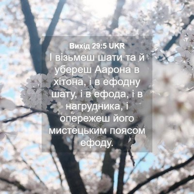 Picture 04 - Вихід 29:5 UKR - І візьмеш шати та й убереш - Bible Verse Picture
