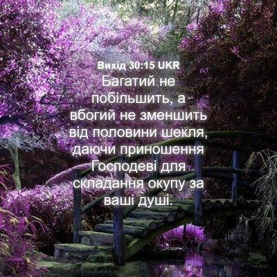 Picture 04 - Вихід 30:15 UKR - Багатий не побільшить, а - Bible Verse Picture
