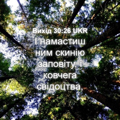 Picture 04 - Вихід 30:26 UKR - І намастиш ним скинію - Bible Verse Picture