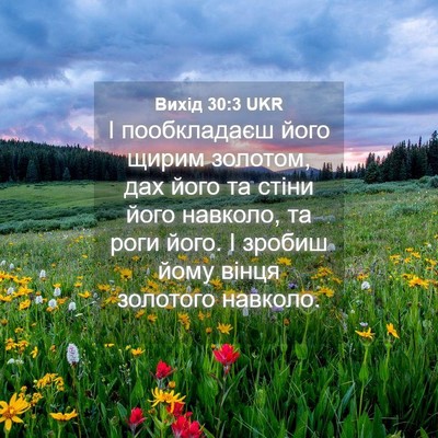 Picture 04 - Вихід 30:3 UKR - І пообкладаєш його щирим - Bible Verse Picture