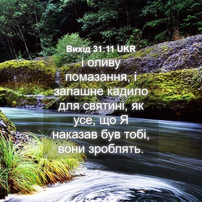 Picture 04 - Вихід 31:11 UKR - і оливу помазання, і - Bible Verse Picture