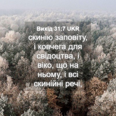 Picture 04 - Вихід 31:7 UKR - скинію заповіту, і ковчега - Bible Verse Picture