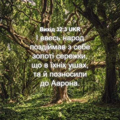 Picture 04 - Вихід 32:3 UKR - І ввесь народ поздіймав з - Bible Verse Picture