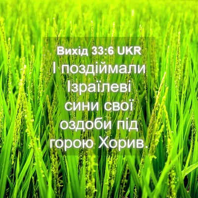 Picture 04 - Вихід 33:6 UKR - І поздіймали Ізраїлеві - Bible Verse Picture