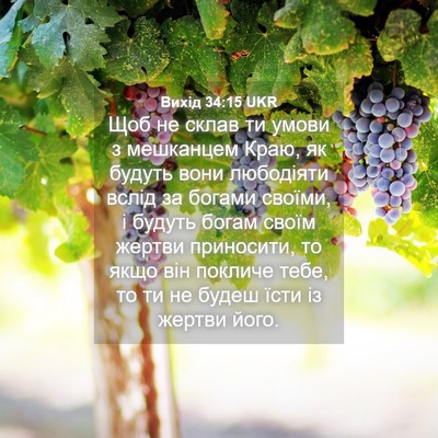 Picture 04 - Вихід 34:15 UKR - Щоб не склав ти умови з - Bible Verse Picture