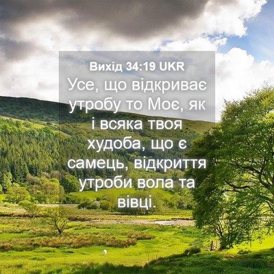 Picture 04 - Вихід 34:19 UKR - Усе, що відкриває утробу то - Bible Verse Picture