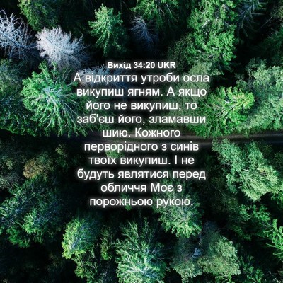 Picture 04 - Вихід 34:20 UKR - А відкриття утроби осла - Bible Verse Picture