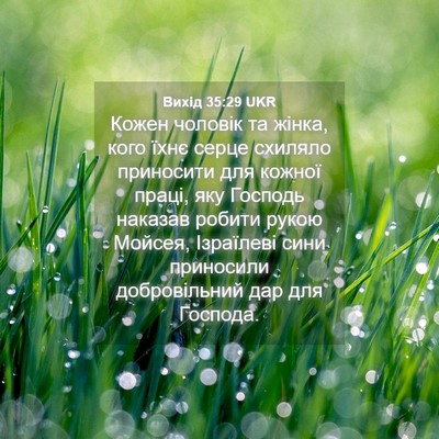 Picture 04 - Вихід 35:29 UKR - Кожен чоловік та жінка, - Bible Verse Picture