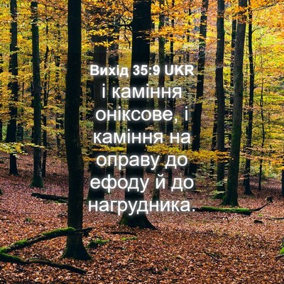 Picture 04 - Вихід 35:9 UKR - і каміння оніксове, і - Bible Verse Picture