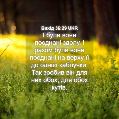 Picture 04 - Вихід 36:29 UKR - І були вони поєднані здолу, - Bible Verse Picture