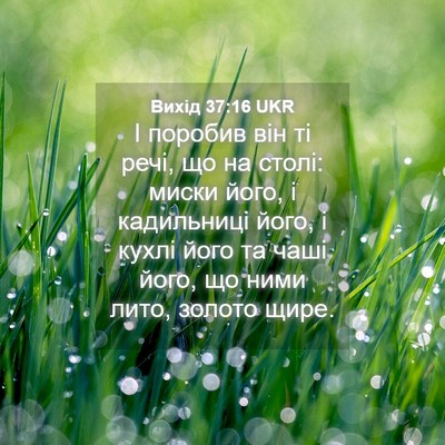 Picture 04 - Вихід 37:16 UKR - І поробив він ті речі, що на - Bible Verse Picture