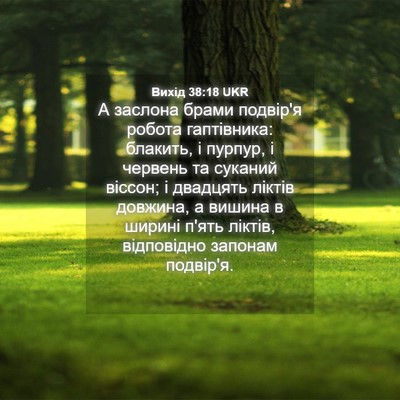 Picture 04 - Вихід 38:18 UKR - А заслона брами подвір'я - Bible Verse Picture