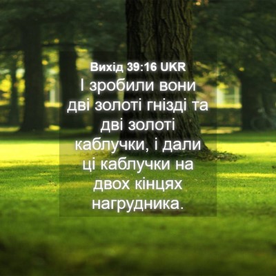 Picture 04 - Вихід 39:16 UKR - І зробили вони дві золоті - Bible Verse Picture