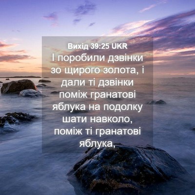 Picture 04 - Вихід 39:25 UKR - І поробили дзвінки зо - Bible Verse Picture