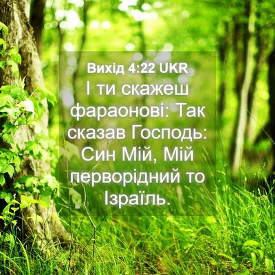 Picture 04 - Вихід 4:22 UKR - І ти скажеш фараонові: Так - Bible Verse Picture