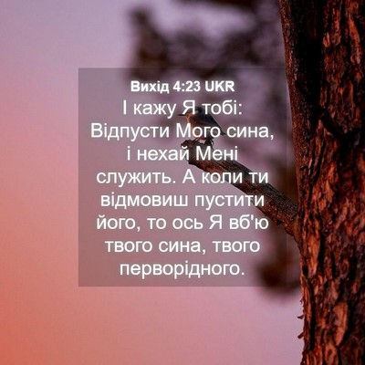 Picture 04 - Вихід 4:23 UKR - І кажу Я тобі: Відпусти - Bible Verse Picture