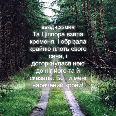 Picture 04 - Вихід 4:25 UKR - Та Ціппора взяла кременя, і - Bible Verse Picture