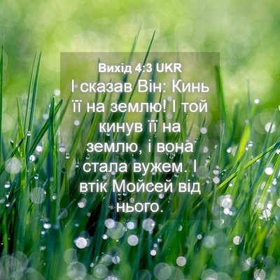 Picture 04 - Вихід 4:3 UKR - І сказав Він: Кинь її на - Bible Verse Picture