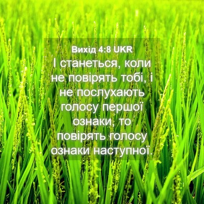 Picture 04 - Вихід 4:8 UKR - І станеться, коли не - Bible Verse Picture