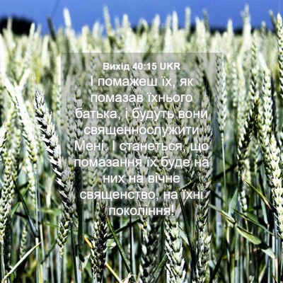 Picture 04 - Вихід 40:15 UKR - І помажеш їх, як помазав - Bible Verse Picture