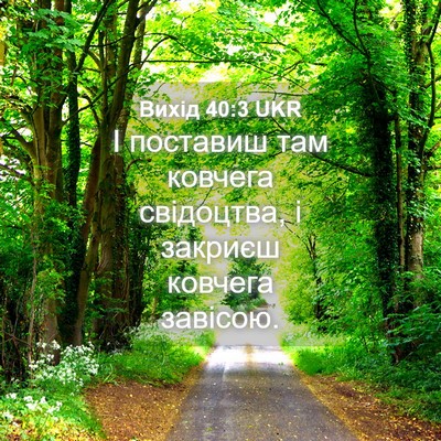 Picture 04 - Вихід 40:3 UKR - І поставиш там ковчега - Bible Verse Picture
