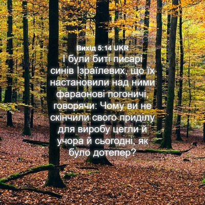 Picture 04 - Вихід 5:14 UKR - І були биті писарі синів - Bible Verse Picture