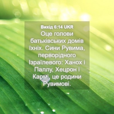 Picture 04 - Вихід 6:14 UKR - Оце голови батьківських - Bible Verse Picture