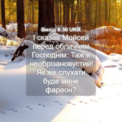 Picture 04 - Вихід 6:30 UKR - І сказав Мойсей перед - Bible Verse Picture