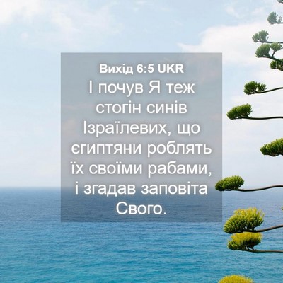 Picture 04 - Вихід 6:5 UKR - І почув Я теж стогін синів - Bible Verse Picture
