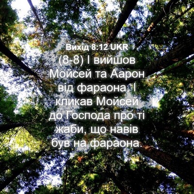 Picture 04 - Вихід 8:12 UKR - (8-8) І вийшов Мойсей та - Bible Verse Picture