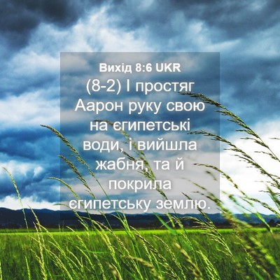 Picture 04 - Вихід 8:6 UKR - (8-2) І простяг Аарон руку - Bible Verse Picture