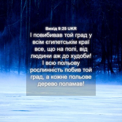 Picture 04 - Вихід 9:25 UKR - І повибивав той град у всім - Bible Verse Picture