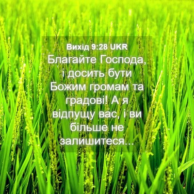 Picture 04 - Вихід 9:28 UKR - Благайте Господа, і досить - Bible Verse Picture