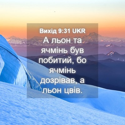 Picture 04 - Вихід 9:31 UKR - А льон та ячмінь був - Bible Verse Picture