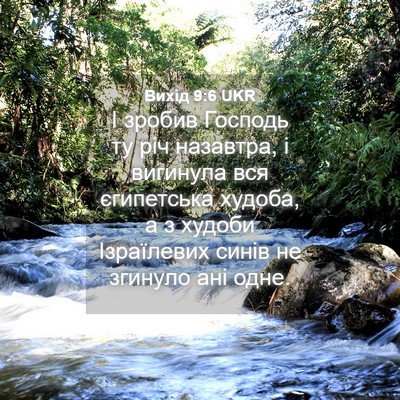 Picture 04 - Вихід 9:6 UKR - І зробив Господь ту річ - Bible Verse Picture