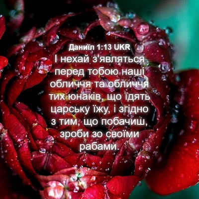Picture 04 - Даниїл 1:13 UKR - І нехай з'являться перед - Bible Verse Picture