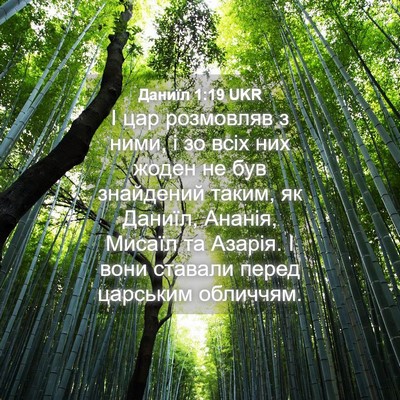 Picture 04 - Даниїл 1:19 UKR - І цар розмовляв з ними, і зо - Bible Verse Picture