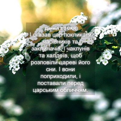 Picture 04 - Даниїл 2:2 UKR - І сказав цар покликати - Bible Verse Picture