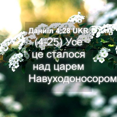 Picture 04 - Даниїл 4:28 UKR - (4-25) Усе це сталося над - Bible Verse Picture