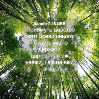 Picture 04 - Даниїл 7:18 UKR - І приймуть царство святі - Bible Verse Picture