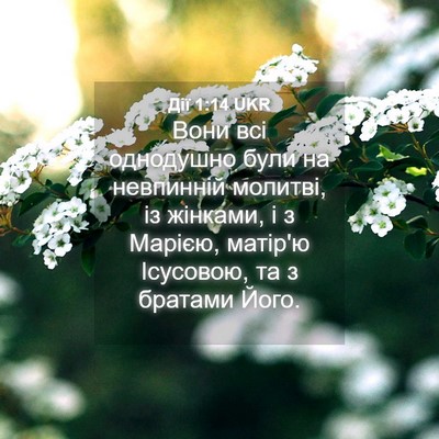 Picture 04 - Дії 1:14 UKR - Вони всі однодушно були на - Bible Verse Picture