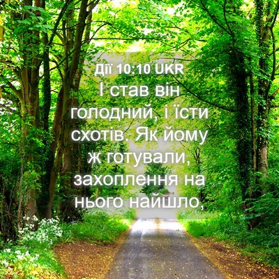 Picture 04 - Дії 10:10 UKR - І став він голодний, і їсти - Bible Verse Picture