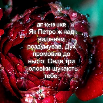 Picture 04 - Дії 10:19 UKR - Як Петро ж над видінням - Bible Verse Picture
