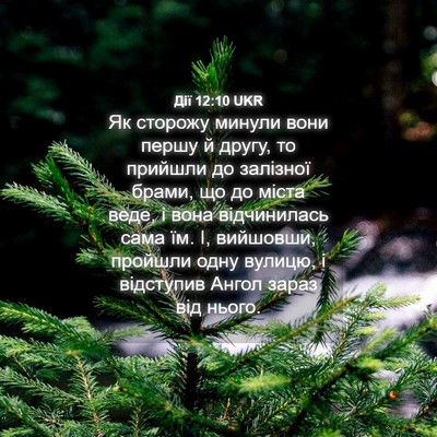 Picture 04 - Дії 12:10 UKR - Як сторожу минули вони - Bible Verse Picture