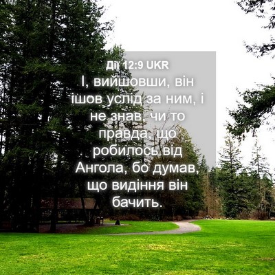 Picture 04 - Дії 12:9 UKR - І, вийшовши, він ішов услід - Bible Verse Picture