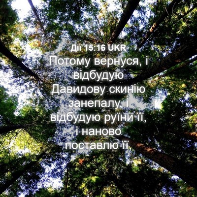 Picture 04 - Дії 15:16 UKR - Потому вернуся, і відбудую - Bible Verse Picture