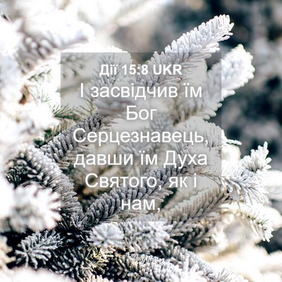 Picture 04 - Дії 15:8 UKR - І засвідчив їм Бог - Bible Verse Picture